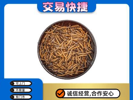 重庆北碚区高价回收散虫草